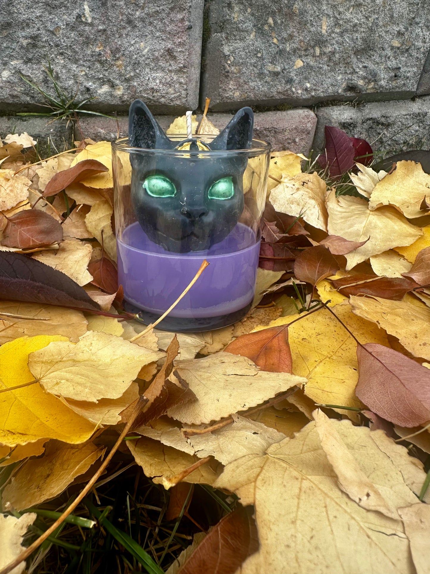 Black Cat Curse