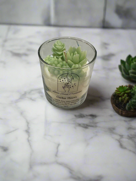 Cactus Flower
