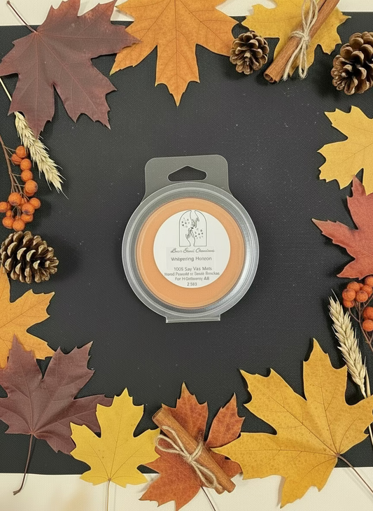 Whispering horizon ￼